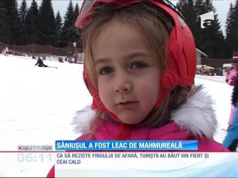 Săniuşul, leac pentru mahmureală