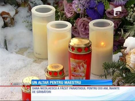 Se împlinesc doi ani de la moartea lui Sergiu Nicolaescu