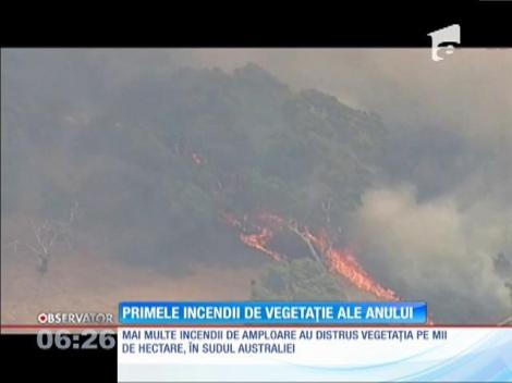 Incendii de vegetaţie în Australia