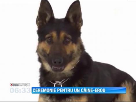 Un câine poliţist din Statele Unite a avut parte de o emoţionantă ceremonie de adio