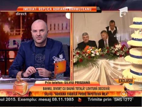 Silviu Prigoană: ”Se fabrică probe împotriva mea”