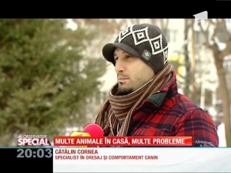 Special! Multe animale în casă, multe probleme