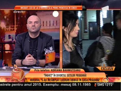 Adriana Bahmuțeanu: ”Mi se face o mare nedreptate”