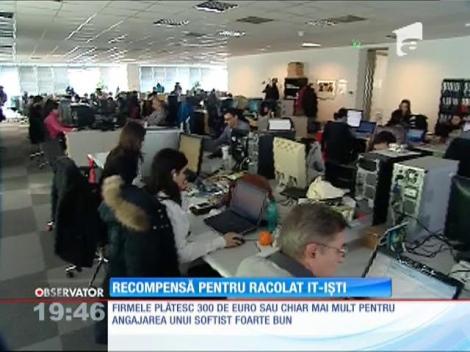 A început vânătoarea IT-iştilor