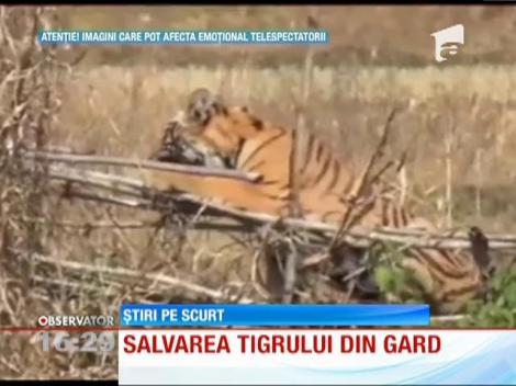 Operaţiune de salvare spectaculoasă!