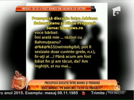 Presupusa discuție care a pornit războilul dintre Adriana Bahmuțeanu și Silviu Prigoană