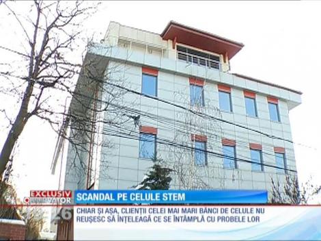 Scandal pe celule stem