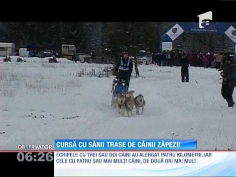 Cursă cu sănii trase de câinii zăpezii