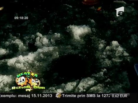 "Dezgustătorii", la pescuit