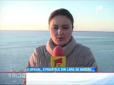 E oficial! Strigătele de ajutor ale echipajului SMURD prăbușit în lacul Siutghiol se auzeau de pe mal