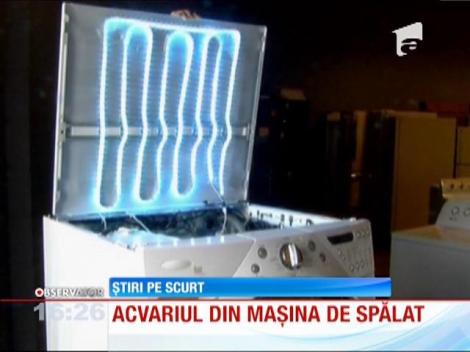 Acvariul din mașina de spălat