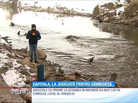 Primăria Capitalei, dată în judecată din cauza poluării de pe râul Dâmboviţa