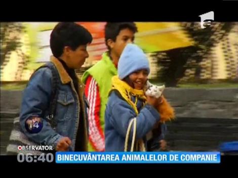 Binecuvântarea animalelor de companie