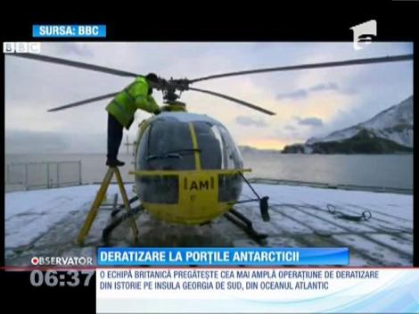 Urmează cea mai amplă operaţiune de deratizare. Aproape o sută de tone de otravă vor fi aruncate din elicopter!