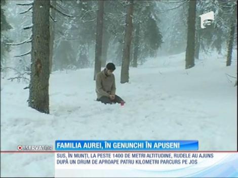 Familia Aurei, în genunchi în Apuseni