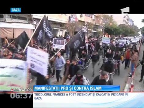 Proteste de amploare în Germania şi Danemarca