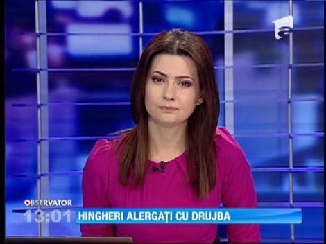 Şocant! Hingherii ASPA, alergaţi cu drujbă de un bucureştean