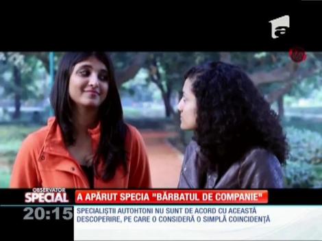 SPECIAL! A apărut specia &rdquo;bărbatul de companie&rdquo;