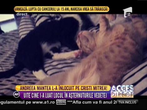 Andreea Mantea l-a înlocuit în patul său pe Cristi Mitrea!