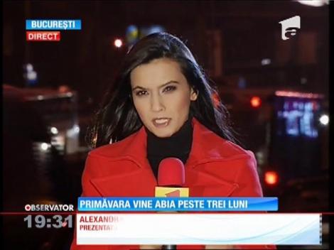 Primăvara vine abia peste trei luni