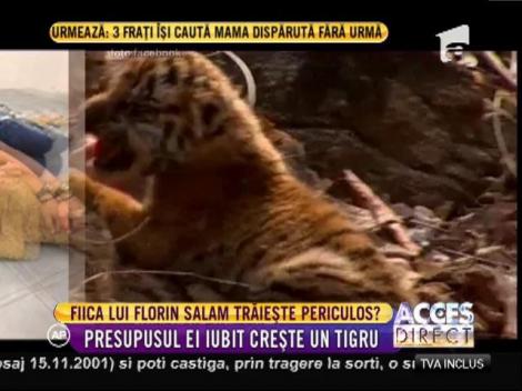 Presupusul iubit al lui Betty Salam crește un tigru!