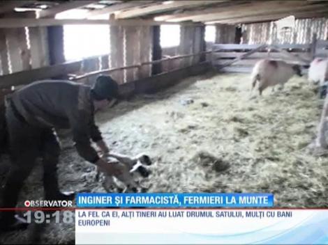 Inginer și farmacistă, fermieri la munte