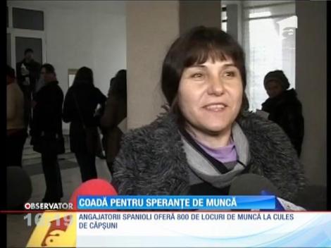 Bursa Locurilor de Muncă pentru Spania