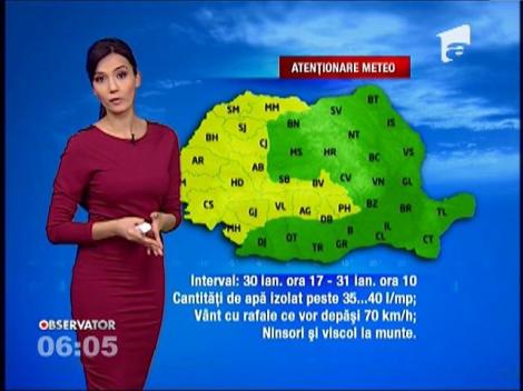 Cod galben de vânt puternic