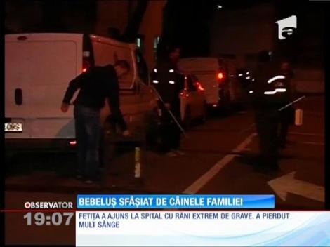 Bebeluș sfâșiat de câinele familiei