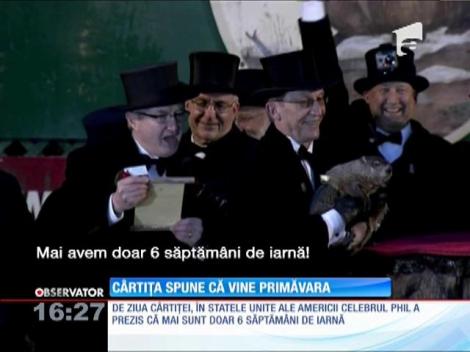 Prezicerile cârtiței