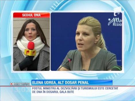 Elena Udrea, alt dosar penal