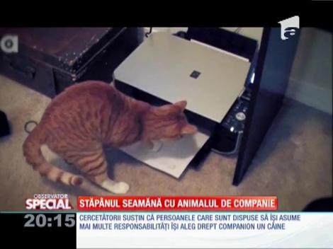Special! Stăpânul seamănă cu animalul de companie