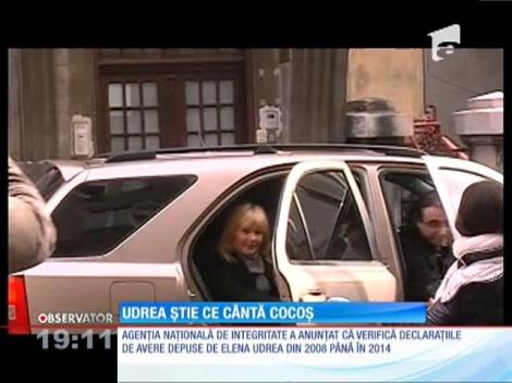 Elena Udrea, destăinuri și acuze