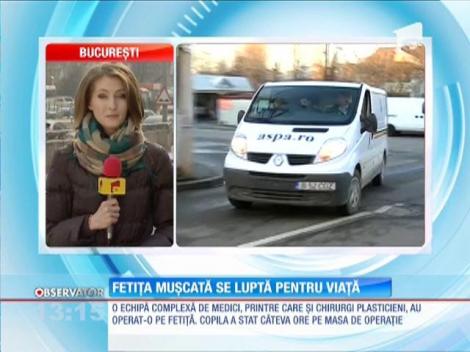 Fetița mușcată câinele familiei se luptă pentru viață