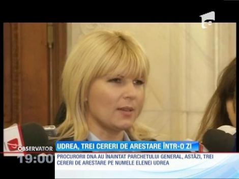 Elena Udrea, 3 cereri de arestare într-o singură zi
