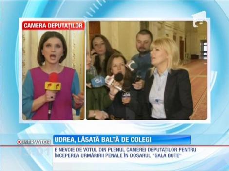 Elena Udrea, lăsată baltă de colegi