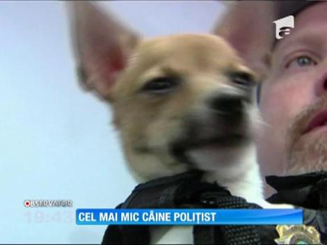 Cel mai iubit câine polițist