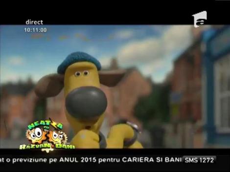 Recomandări de filme care merită văzute