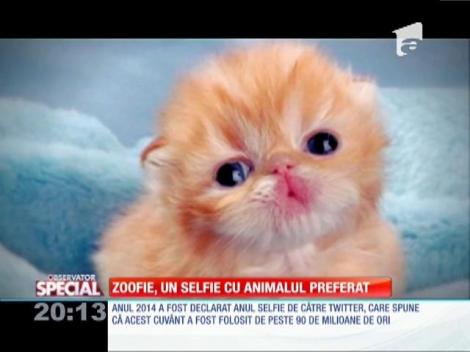 Special! Zoofie, un selfie cu animalul preferat