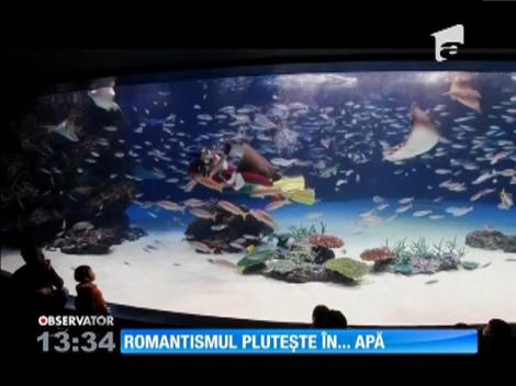 Romantismul pluteşte în apă la Tokio