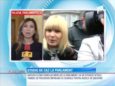 Elena Udrea, studiu de caz în Parlament