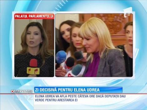 Zi decisivă pentru Elena Udrea