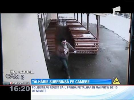 Tâlhărie surprinsă pe camere