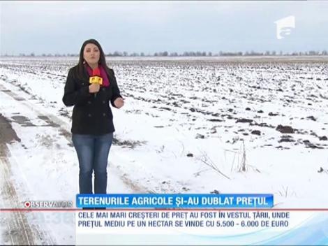 Terenurile agricole și-au dublat prețul