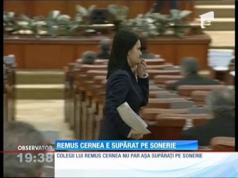 Deputatul Remus Cernea e supărat pe soneria care anunţă începutul şedinţei în plen