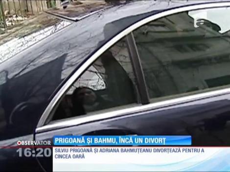 Silviu Prigoană şi Adriana Bahmuţeanu divorțează pentru 5-a oară