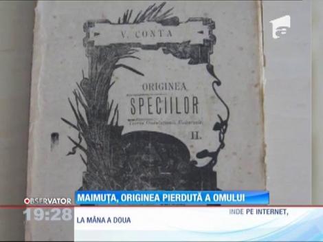 Maimuța, originea pierdută a omului