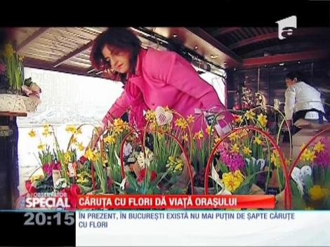 Floare caracteristică pentru Valentine's Day: trandafirul