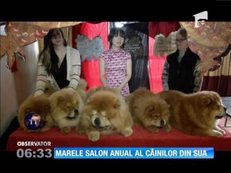 Marele salon anual al câinilor din SUA