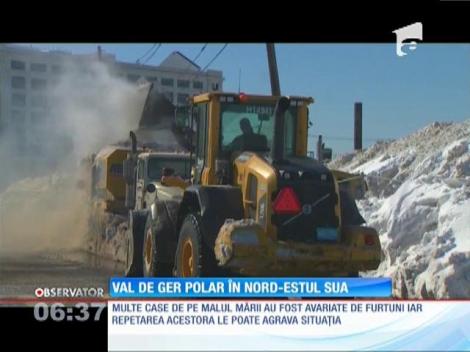 Val de ger polar în nord-estul Statelor Unite
